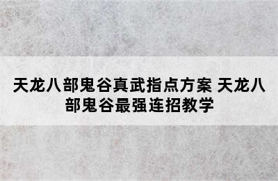 天龙八部鬼谷真武指点方案 天龙八部鬼谷最强连招教学